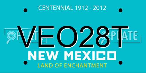 VEO28T New Mexico License Plate