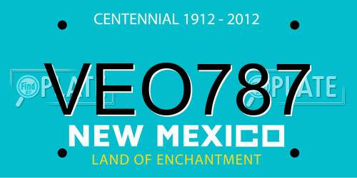 VEO787 New Mexico License Plate