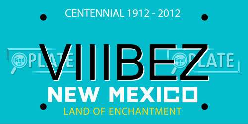 VIIIBEZ New Mexico License Plate