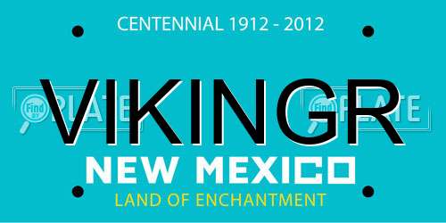VIKINGR New Mexico License Plate