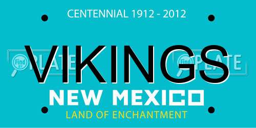 VIKINGS New Mexico License Plate