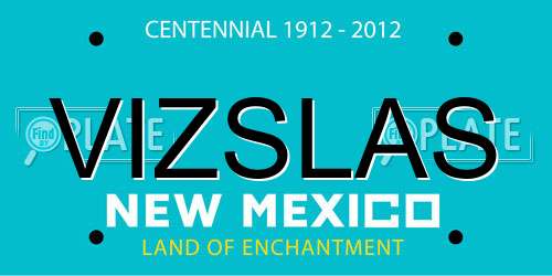 VIZSLAS New Mexico License Plate