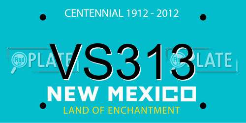 VS313 New Mexico License Plate