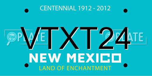 VTXT24 New Mexico License Plate