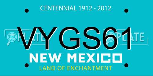 VYGS61 New Mexico License Plate