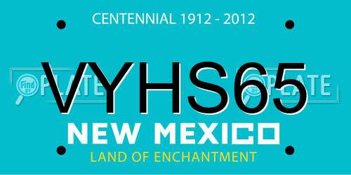 VYHS65 New Mexico License Plate