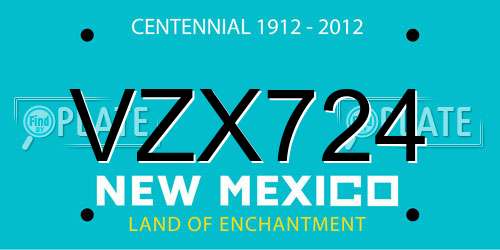 VZX724 New Mexico License Plate