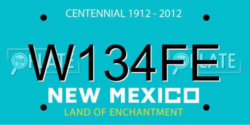 W134FE New Mexico License Plate