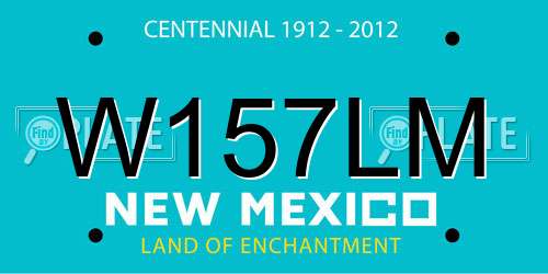 W157LM New Mexico License Plate