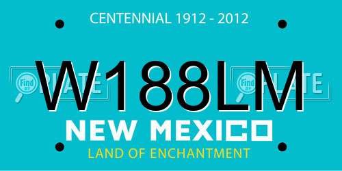 W188LM New Mexico License Plate