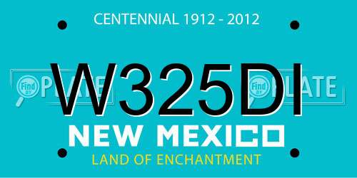 W325DI New Mexico License Plate