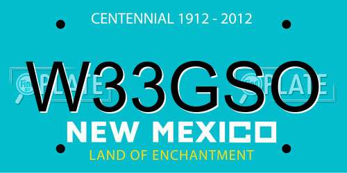 W33GSO New Mexico License Plate