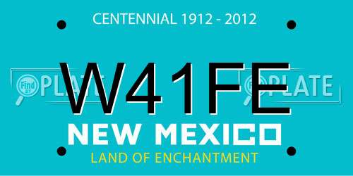 W41FE New Mexico License Plate