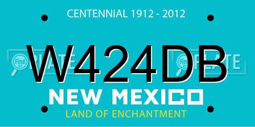 W424DB New Mexico License Plate