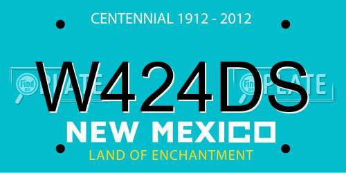 W424DS New Mexico License Plate