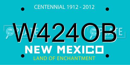 W424OB New Mexico License Plate