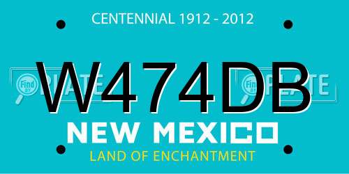W474DB New Mexico License Plate