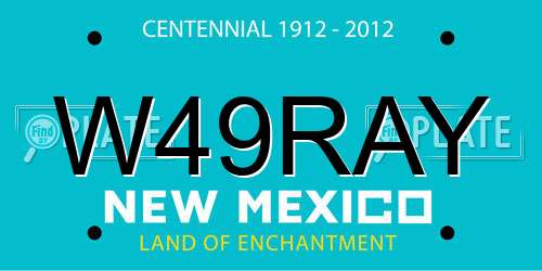 W49RAY New Mexico License Plate