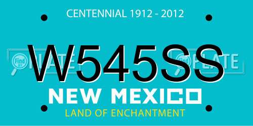 W545SS New Mexico License Plate