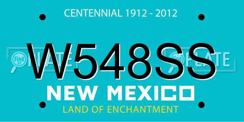 W548SS New Mexico License Plate