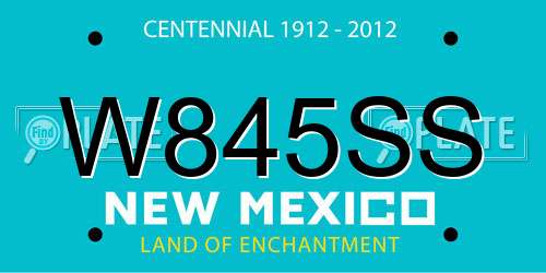 W845SS New Mexico License Plate