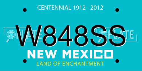 W848SS New Mexico License Plate