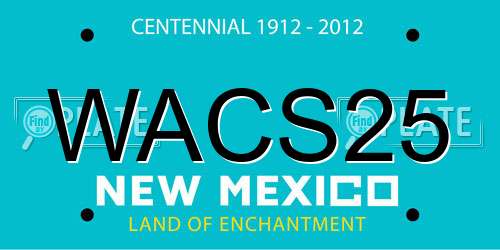 WACS25 New Mexico License Plate