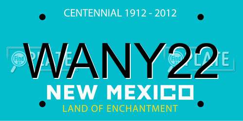 WANY22 New Mexico License Plate