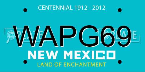 WAPG69 New Mexico License Plate