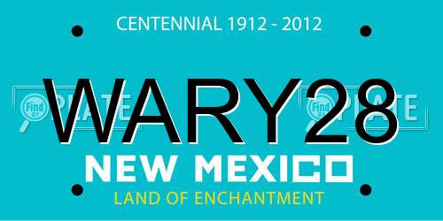 WARY28 New Mexico License Plate
