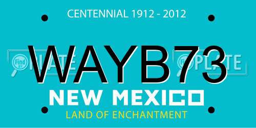 WAYB73 New Mexico License Plate