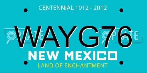 WAYG76 New Mexico License Plate