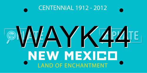 WAYK44 New Mexico License Plate