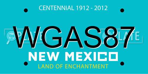 WGAS87 New Mexico License Plate