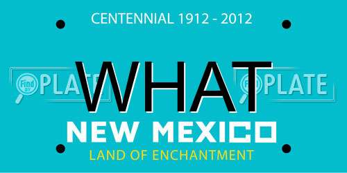 WHAT New Mexico License Plate