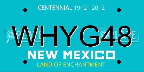 WHYG48 New Mexico License Plate