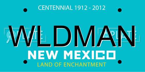 WLDMAN New Mexico License Plate