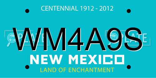 WM4A9S New Mexico License Plate