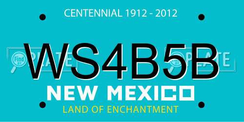 WS4B5B New Mexico License Plate