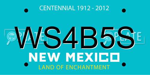 WS4B5S New Mexico License Plate