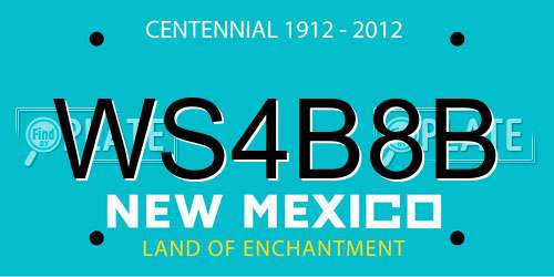 WS4B8B New Mexico License Plate
