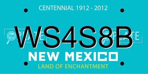 WS4S8B New Mexico License Plate