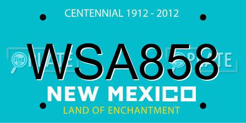WSA858 New Mexico License Plate