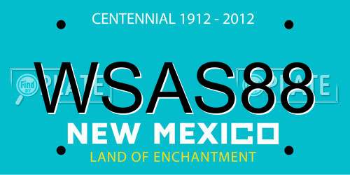 WSAS88 New Mexico License Plate