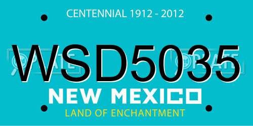 WSD5035 New Mexico License Plate