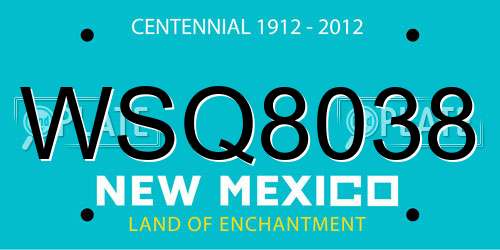 WSQ8038 New Mexico License Plate
