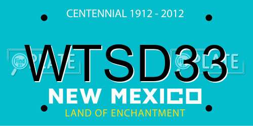 WTSD33 New Mexico License Plate