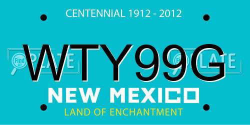 WTY99G New Mexico License Plate