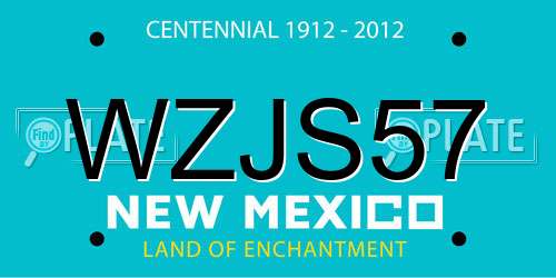WZJS57 New Mexico License Plate