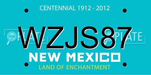 WZJS87 New Mexico License Plate